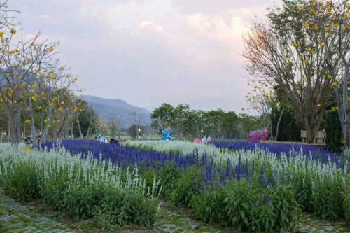 Hotel Baan Kung Kang De Pai