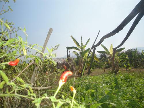 Agroturismo Suan Pin Houses