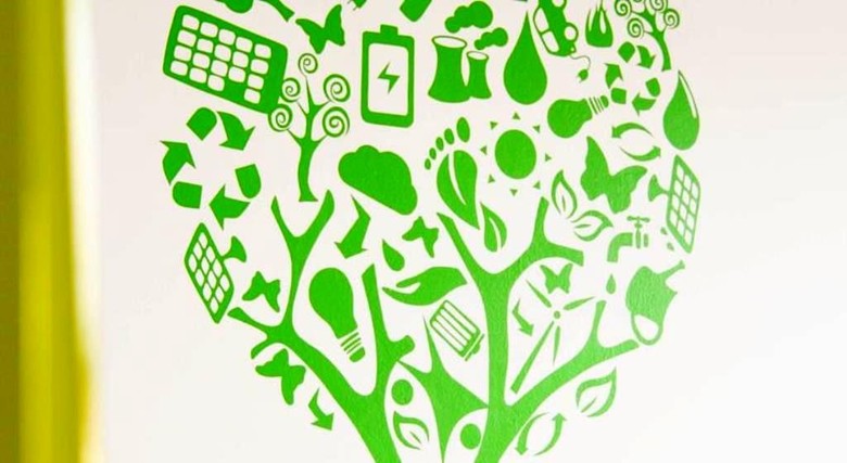 Eco Hostel