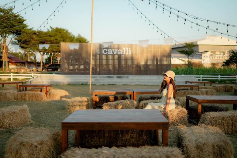 Hotel The Cavalli Casa Resort