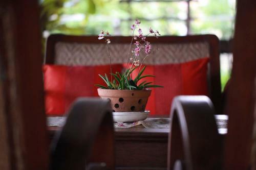 Hotel Baan Tye Wang Guesthouse