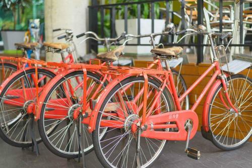 Hotel Eco Inn Trang