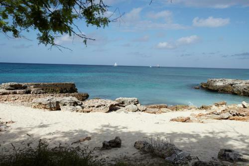 Villa Bougainvillea Aruba Rumba Suite