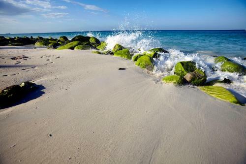 Villa Bougainvillea Aruba Rumba Suite