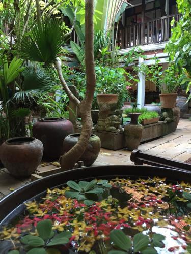 Hotel White House Beach Resort And Spa