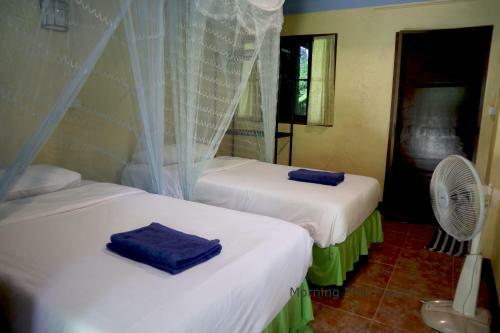 Hotel Khao Sok Morning Mist Resort