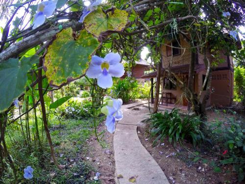 Hotel Khao Sok Morning Mist Resort