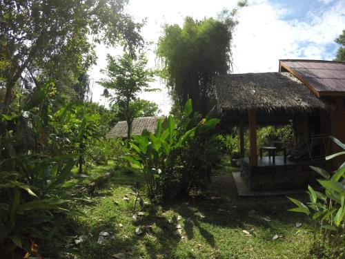 Hotel Khao Sok Morning Mist Resort