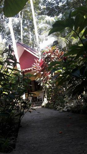 Hotel Khao Sok Holiday Resort
