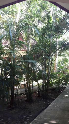 Hotel Khao Sok Holiday Resort