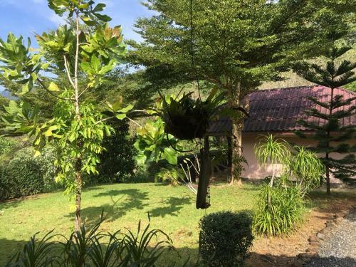 Hotel Khao Sok Hill Top Resort
