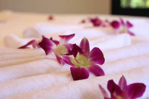 Hotel Naya Paradise Retreat
