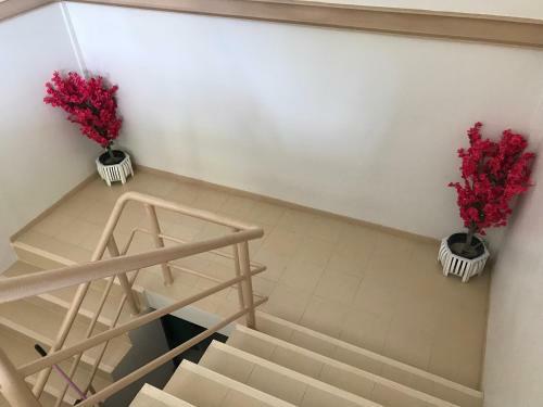 Hostal B Place Guesthouse