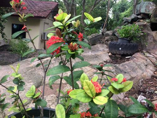 Hotel Sunrise Villas