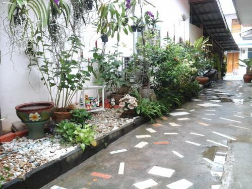 Hostal Samed Thanee