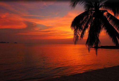 Sibaja Palms Sunset Beach Luxury Apartments
