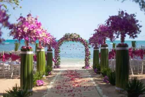 Hotel Rocky's Boutique Resort