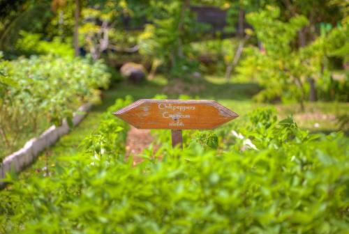 Hotel Fair House Villas & Spa, Koh Samui