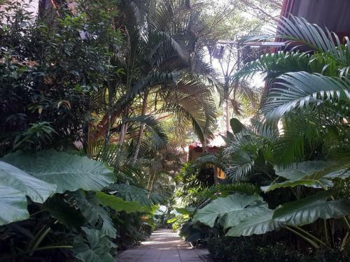 Hotel Ricci House Resort