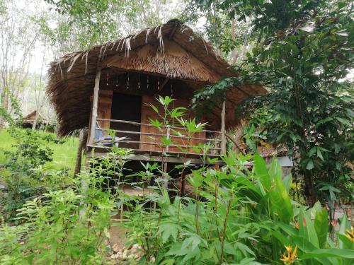 Lodge Last Fisher Koh Jum