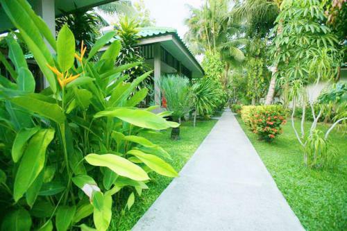 Hotel Lamai Inn 99 Bungalows