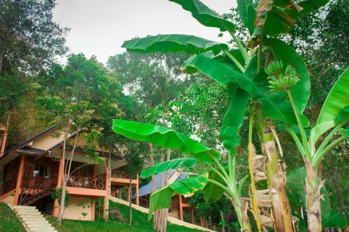 Hotel Chaipura Resort