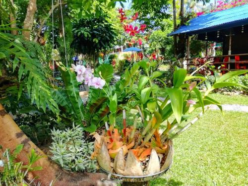 Hostal Macura Resort