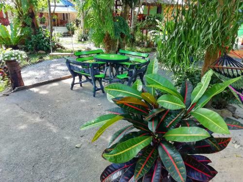 Hostal Macura Resort