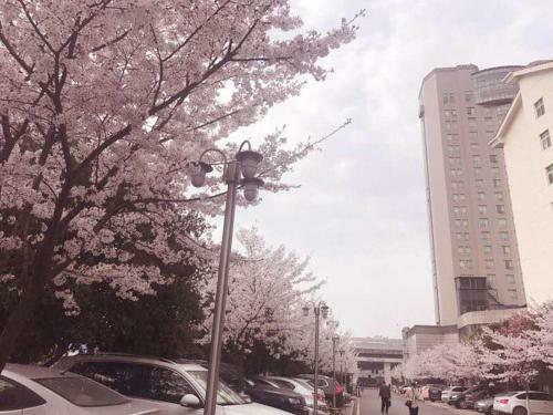 Xiongchu International Hotel