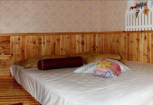 Wuzhen Auntie Yin Homestay