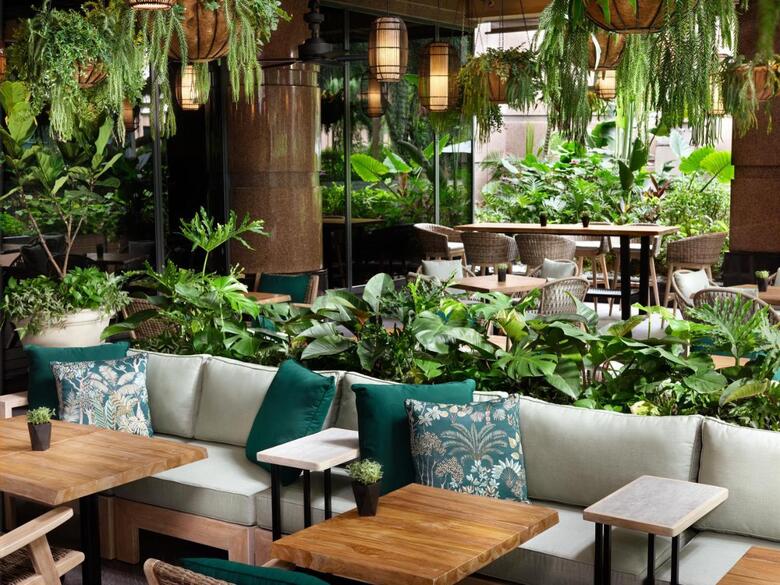 Hotel Four Seasons (de Lujo)