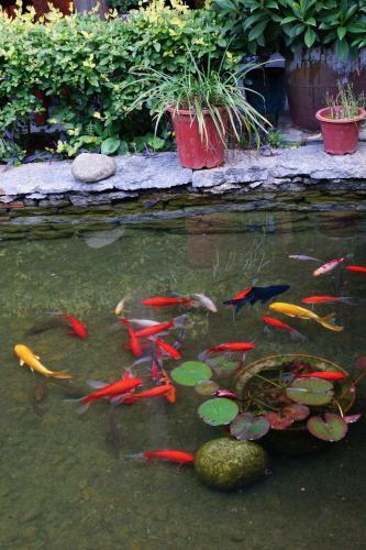 Yangshuo Mountain Nest Boutique Hotel