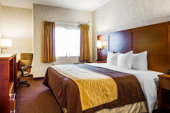 Hotel Comfort Inn (watsonville)