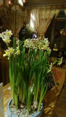 Hostal Zhaoxing Ruyuan Family Inn