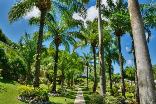 Hotel Blue Horizons Garden Resort