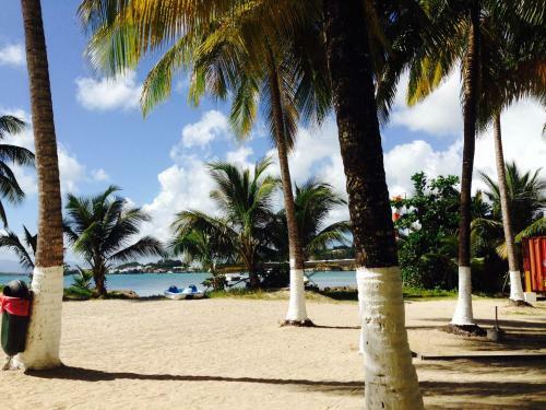Apartement Plage Guadeloupe