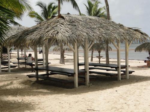 Apartamento Studio Flamboyant Rez De Jardin