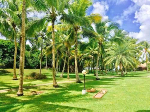 Apartamento Petit Paradis