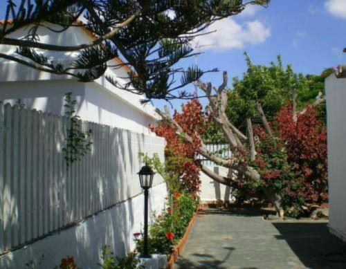 Bungalows Tenesoya Adults Only