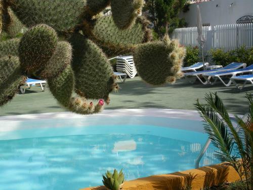Bungalows Tenesoya Adults Only