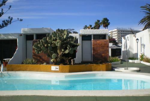 Bungalows Tenesoya Adults Only