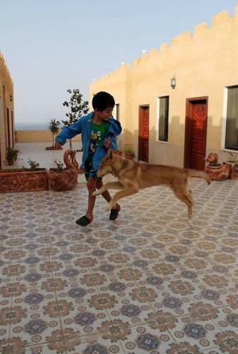 Hotel Arab Divers