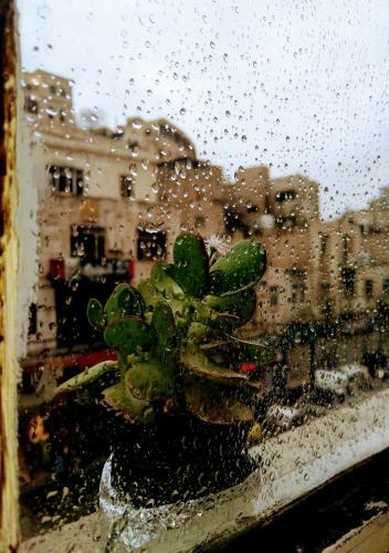 Albergue The Boutique Hotel Amman