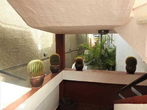 Apartamento Jard�n Paraiso