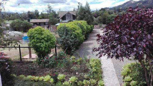 Bed & Breakfast Finca Saron Hoster�a & Spa