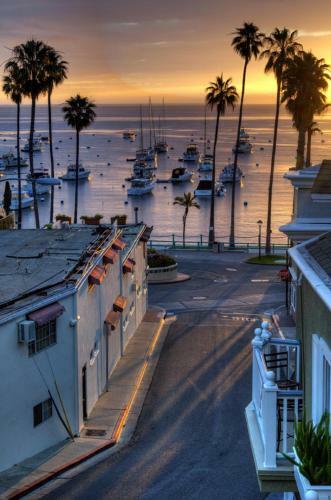 The Avalon Hotel In Catalina Island