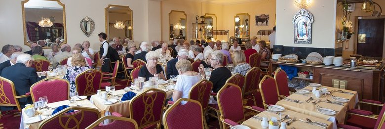 Albany Lions Hotel