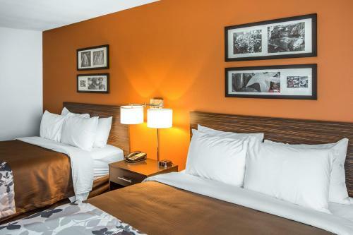 Hotel Sleep Inn Cartersville