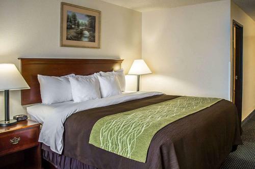 Hotel Quality Inn & Suites Delaware