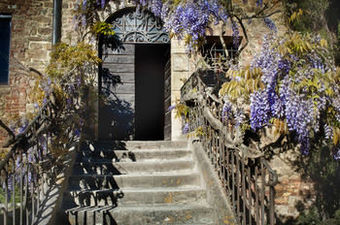 Residencia Castel Porrona Relais